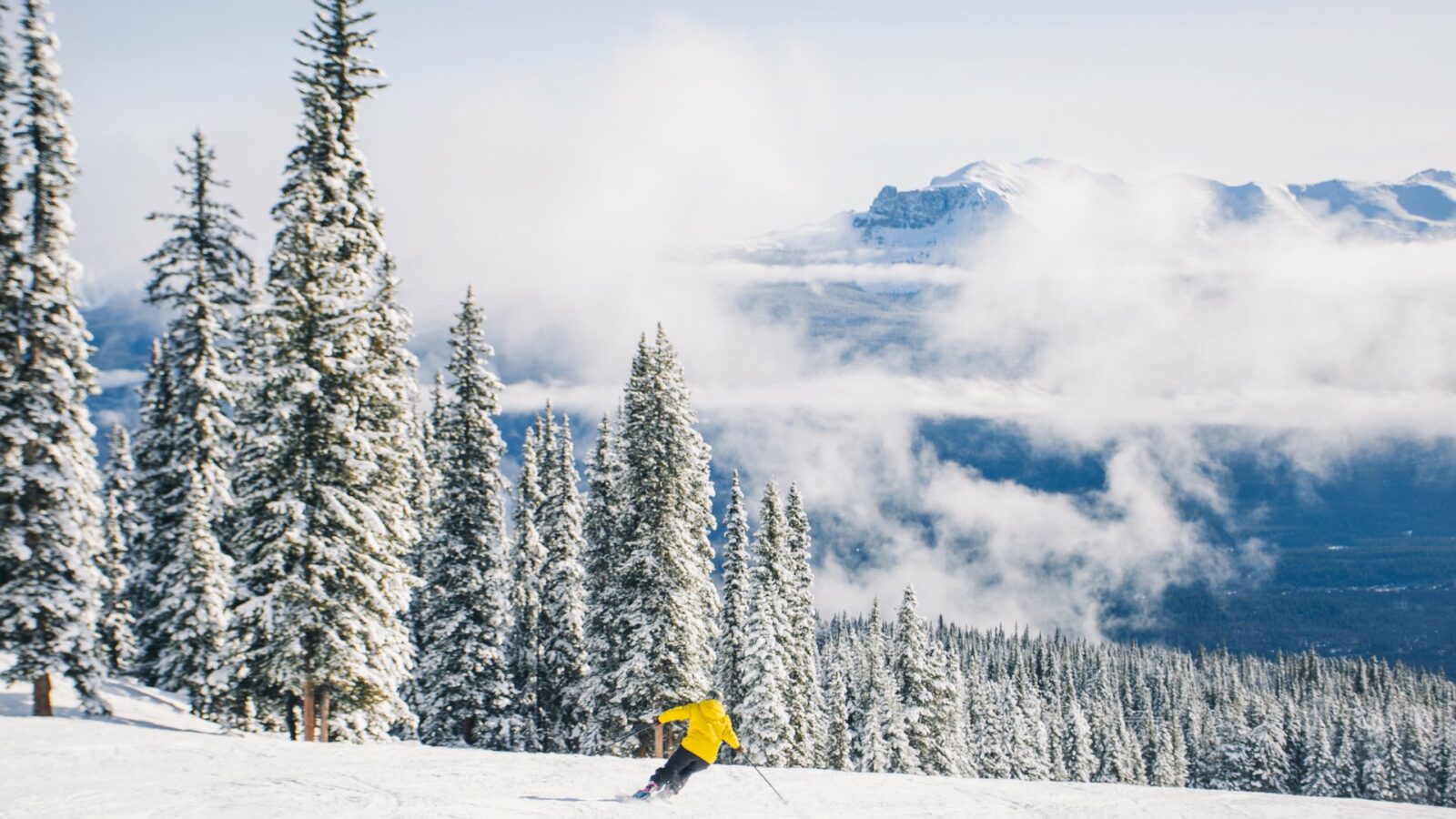 Marmot Basin Skipiste