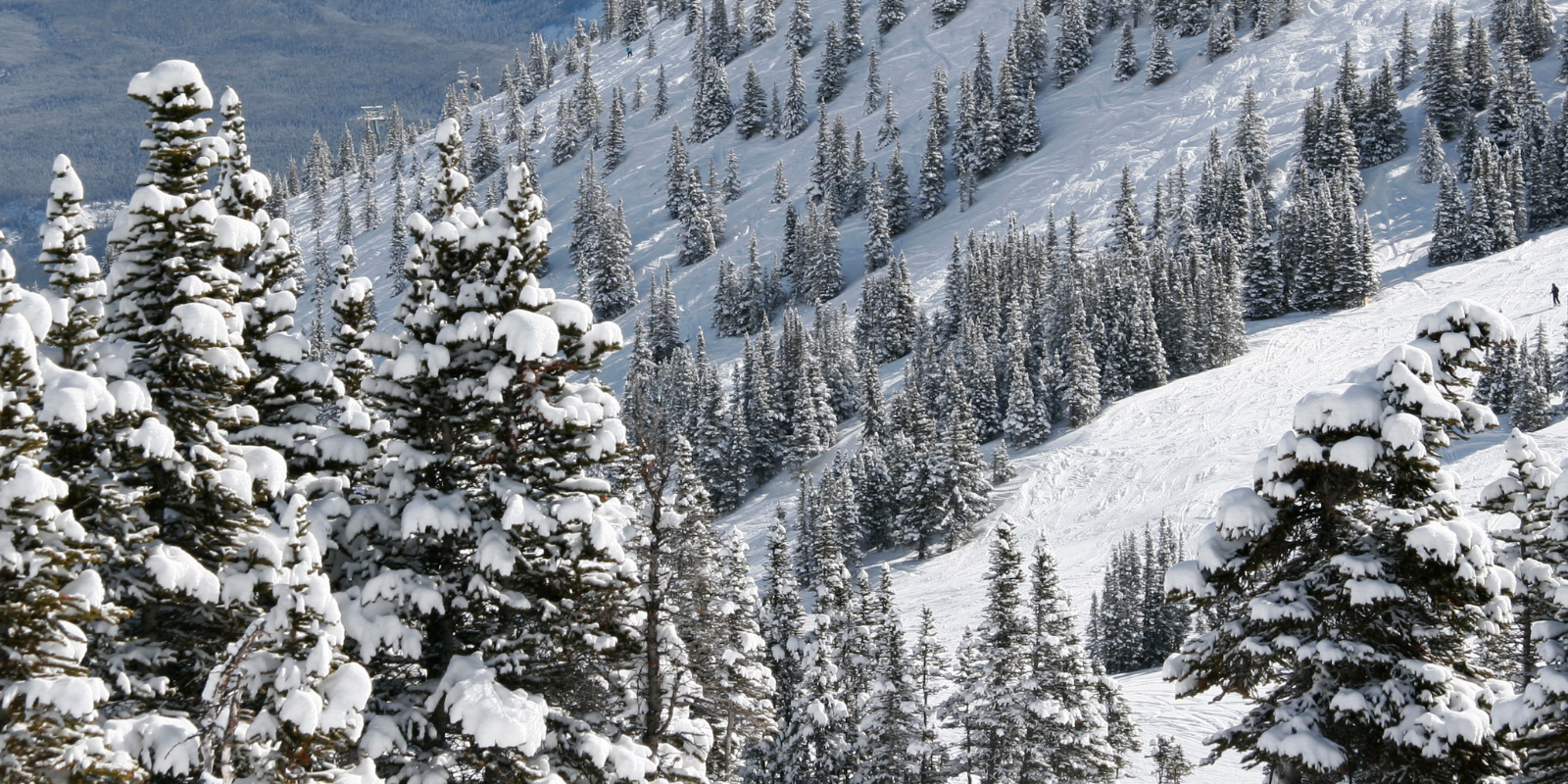 Marmot Basin